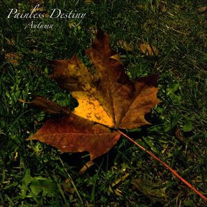 男女做爱真人免费
